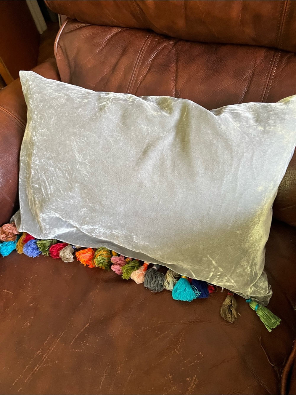 Velvet Silver Tassel Accent Throw Pillow
